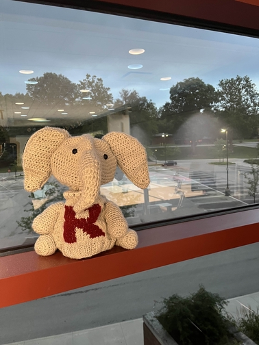 blossom window image